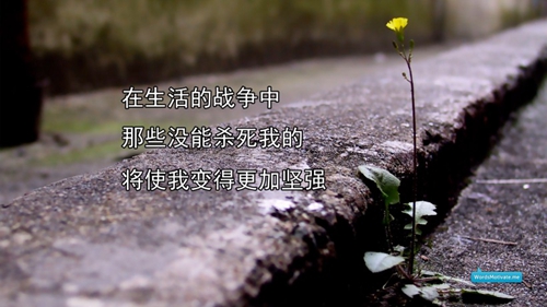抖音比較拽的網(wǎng)名