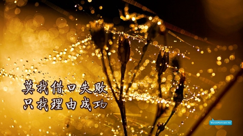 一個人的搞笑