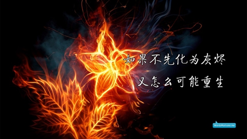 推薦25句武漢的求婚表白