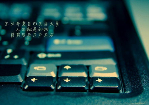 形容友情永恒的句子